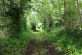 Chemin entre le Bois de Circé et le Clapier
