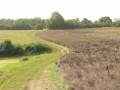 Chemin entre les champs