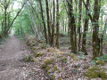 Chemin entre Les Maisons Blanches et Chez Baudaud