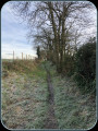 Chemin entre les terres agricoles.