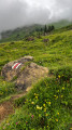 Chemin et balisage