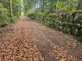 Chemin et mur en pierres