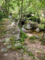 Chemin et Pont Ancien