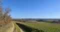 Les coteaux d'Arcagnac à Haulies