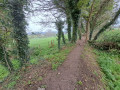 chemin faisant