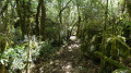 chemin féerique proche du aven