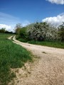 Chemin fleuri Chemin fleuri