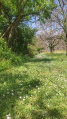 Le Col des Bois Communaux Le Col des Bois Communaux