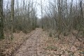 Bois de Gandissière