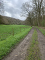 Chemin forestier longeant le champ