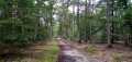 Du Vésinet à Poissy par la Forêt de Saint-Germain-en-Laye