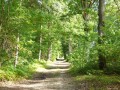 Au pays des lavoirs autour du Ruisseau de Saint-Ouen