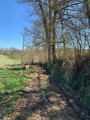 Chemin forestier