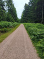 Kaltenbronn