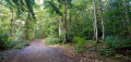 De Chaville à Versailles à travers les forêts domaniales De Chaville à Versailles à travers les forêts domaniales