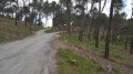 Chemin goudronné Chemin goudronné