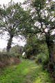 Chemin herbeux près de Bouesse