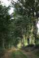 Chemin herbeux près des Liennets