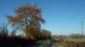 Chemin herbeux