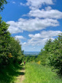 Chemin herbeux ... Chemin herbeux ...