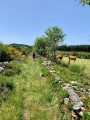 Chemin herbeux ... Chemin herbeux ...