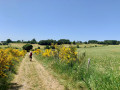 Chemin herbeux ... Chemin herbeux ...