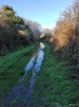 Chemin humide