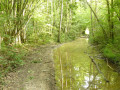 Chemin humide Chemin humide