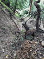 chemin impraticable