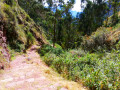 Chemin inca