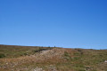Chemin jalonné de pierres levées, direction Las Conques.