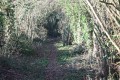 Chemin joignant deux petites routes Chemin joignant deux petites routes