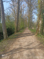 chemin le long de l'etang