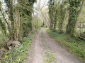 Chemin le long de la Meuvette
