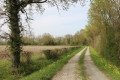 Chemin le long du bois