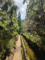 Lagoa do Fogo