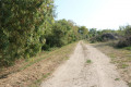 Chemin le long du Chenal du Nord Chemin le long du Chenal du Nord