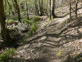 Chemin le long du ruisseau des Brulins