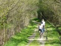 Chemin longeant l'étang de Bellebouche