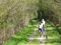 Chemin longeant l'étang de Bellebouche