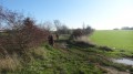 Chemin longeant les anciens jardins