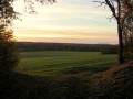 Chemin longeant un champ vers Vic