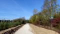 Chemin menant à la D21