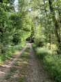 Chemin menant au fort en juin