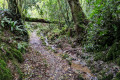 Chemin menant vers le Frout Chemin menant vers le Frout