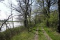 Chemin ombragé au bord de l'étang Chemin ombragé au bord de l'étang