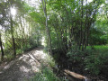Chemin ombrag&eacute; au bord du Leu