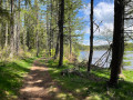 Chemin ombragé avec le lac à droite