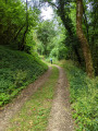 Chemin ombragé vers Sainte Eulalie