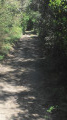 chemin ombragé chemin ombragé